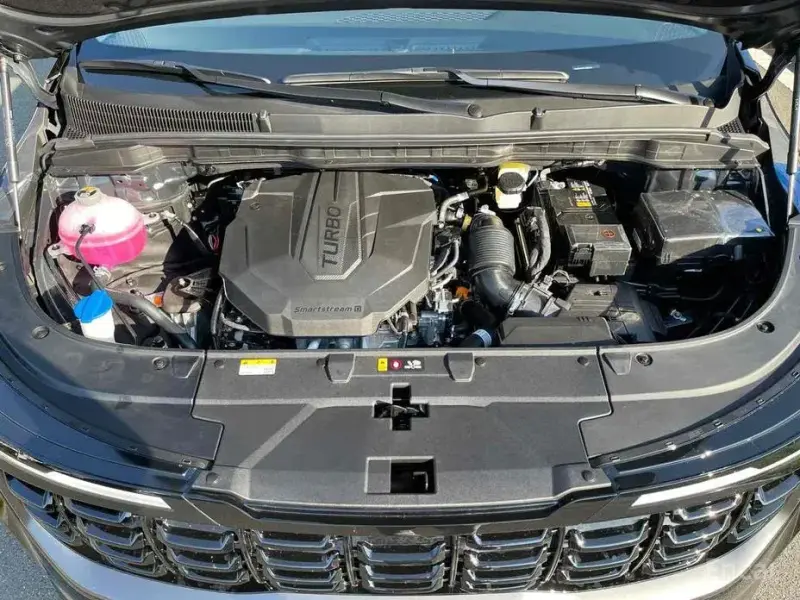 2024 Kia Carnival с пробегом 53 км