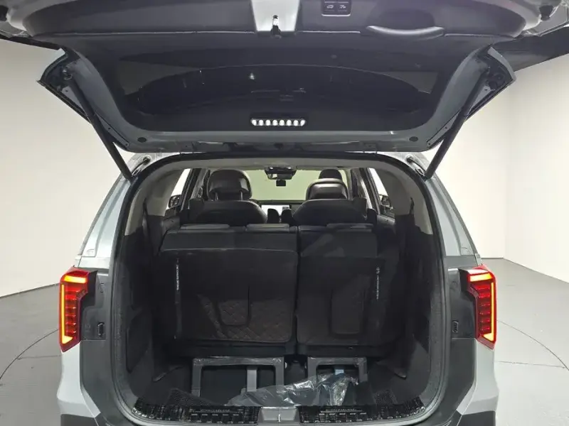 2025 Kia Carnival с пробегом 17 374 км