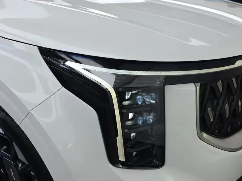 2024 Kia Carnival с пробегом 21 697 км