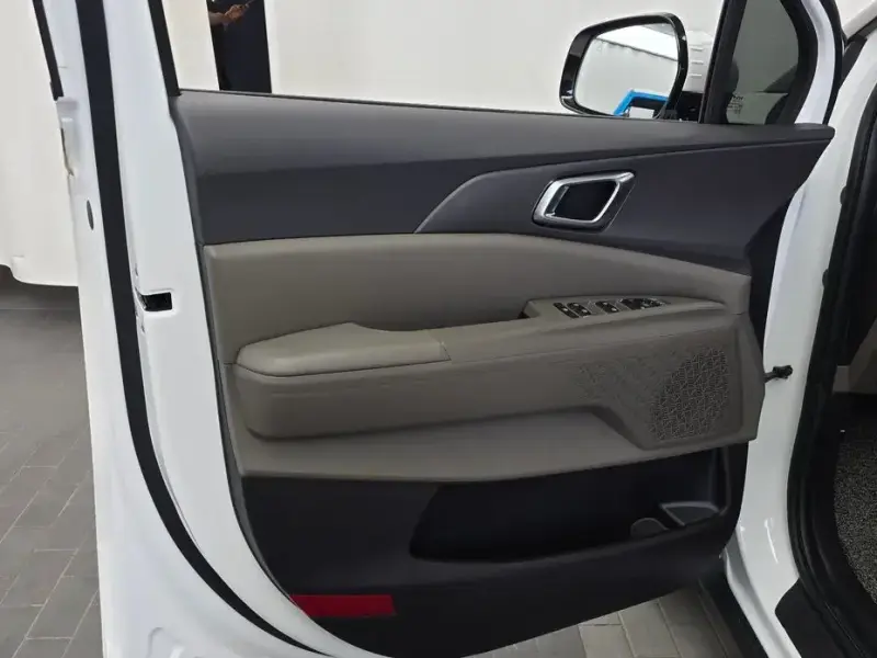 2024 Kia Carnival с пробегом 21 697 км