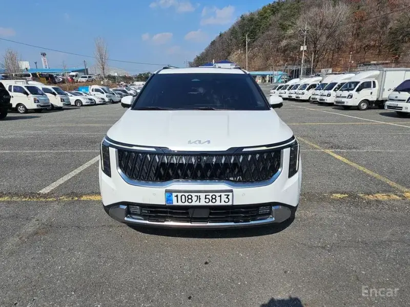 2024 Kia Carnival с пробегом 10 000 км