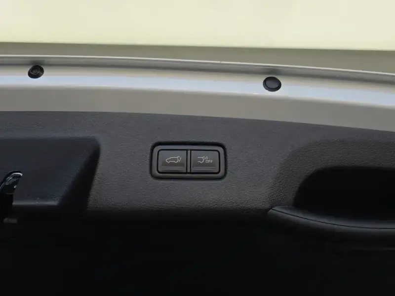 2024 Kia Carnival с пробегом 21 697 км
