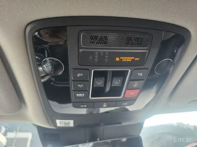 2024 Kia Carnival с пробегом 10 000 км
