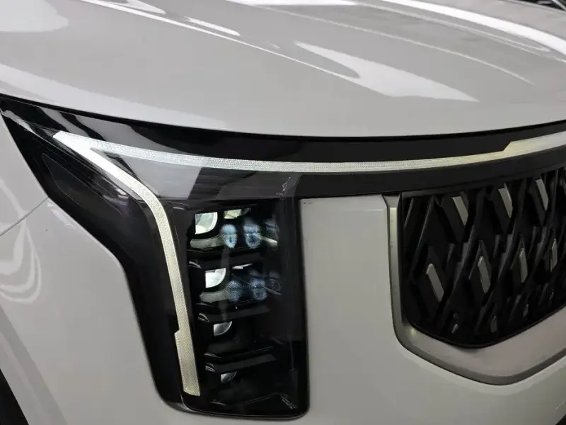 2025 Kia Carnival с пробегом 28 696 км