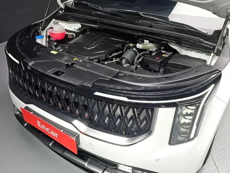 2025 Kia Carnival с пробегом 18 769 км