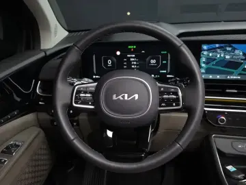 2024 Kia Carnival с пробегом 16 964 км