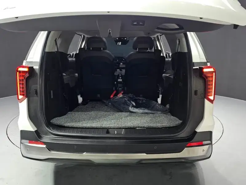 2025 Kia Carnival с пробегом 18 769 км