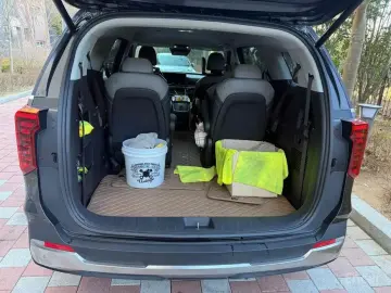 2024 Kia Carnival с пробегом 33 000 км