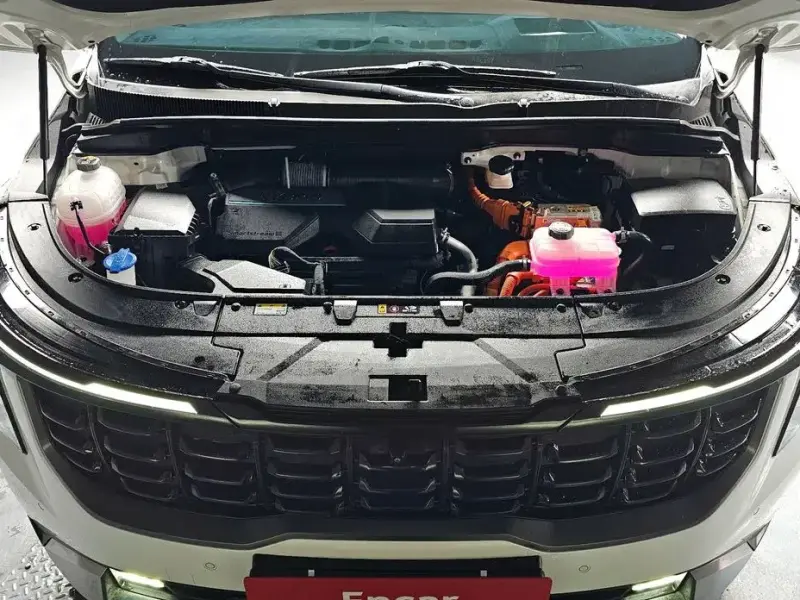 2024 Kia Carnival с пробегом 29 364 км