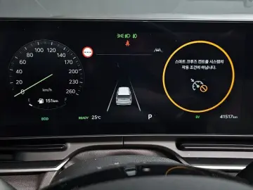 2024 Kia Carnival с пробегом 41 517 км