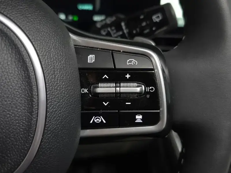 2024 Kia Carnival с пробегом 45 518 км