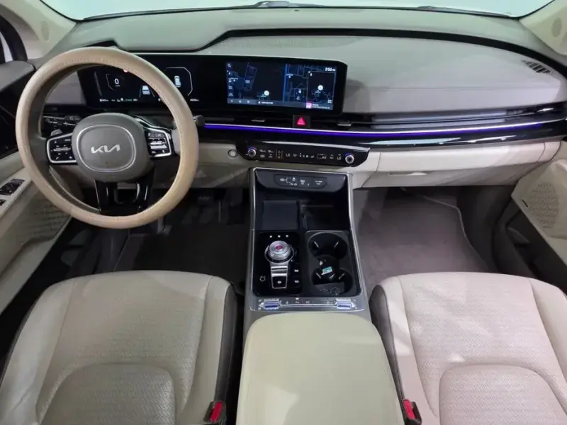 2024 Kia Carnival с пробегом 46 530 км