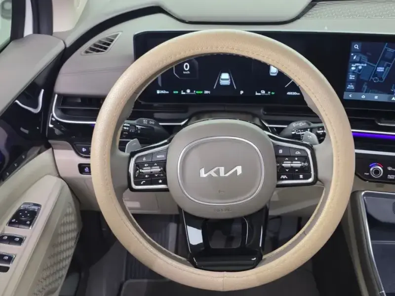 2024 Kia Carnival с пробегом 46 530 км