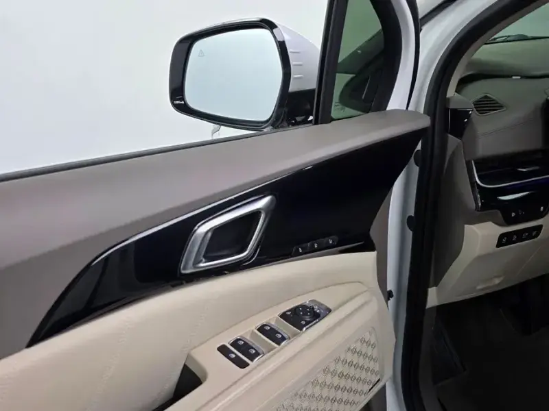 2024 Kia Carnival с пробегом 46 530 км