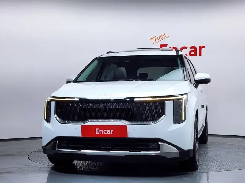 2024 Kia Carnival с пробегом 49 205 км