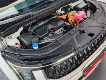 2024 Kia Carnival с пробегом 49 205 км