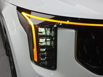 2025 Kia Carnival с пробегом 12 731 км
