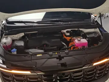 2025 Kia Carnival с пробегом 5 884 км