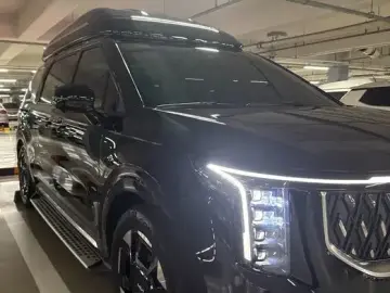 2024 Kia Carnival с пробегом 25 000 км