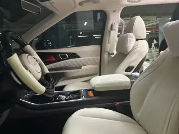 2024 Kia Carnival с пробегом 25 000 км