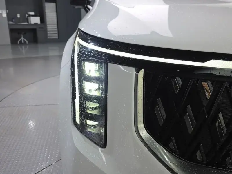 2025 Kia Carnival с пробегом 3 434 км