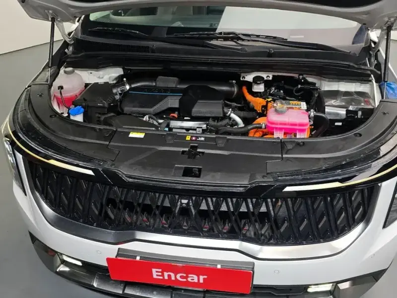2024 Kia Carnival с пробегом 41 007 км