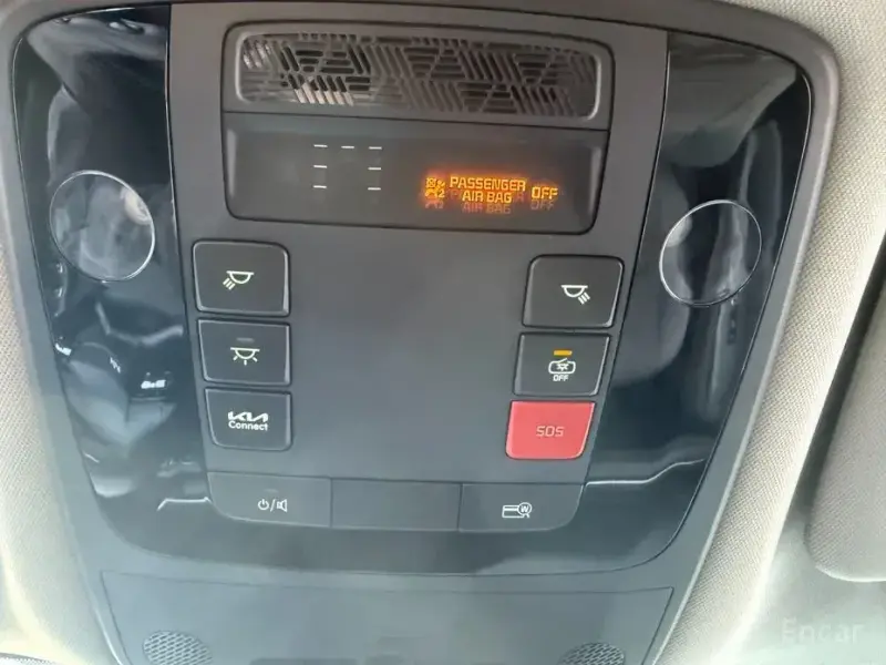 2025 Kia Carnival с пробегом 15 400 км