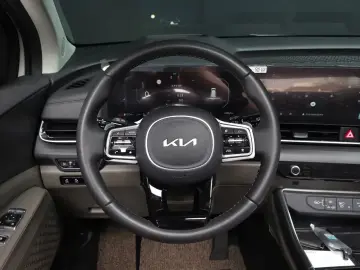 2024 Kia Carnival с пробегом 25 651 км