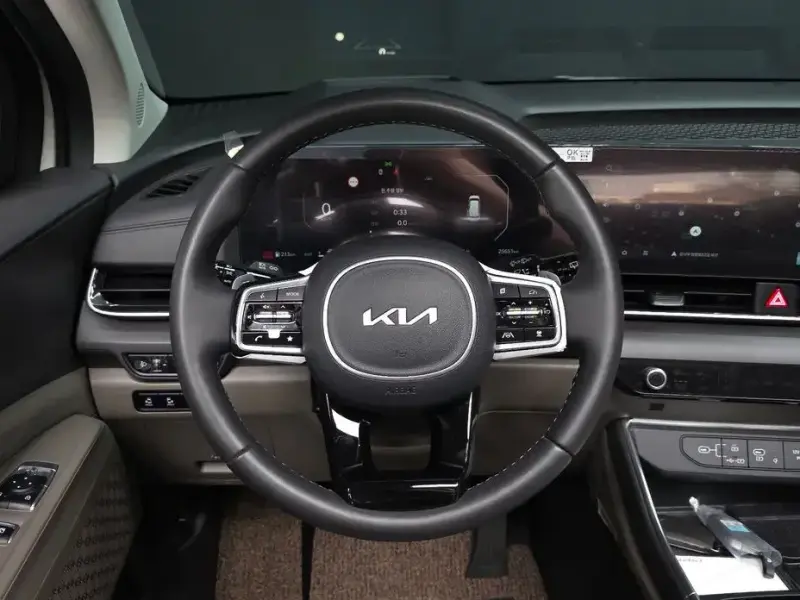 2024 Kia Carnival с пробегом 25 651 км