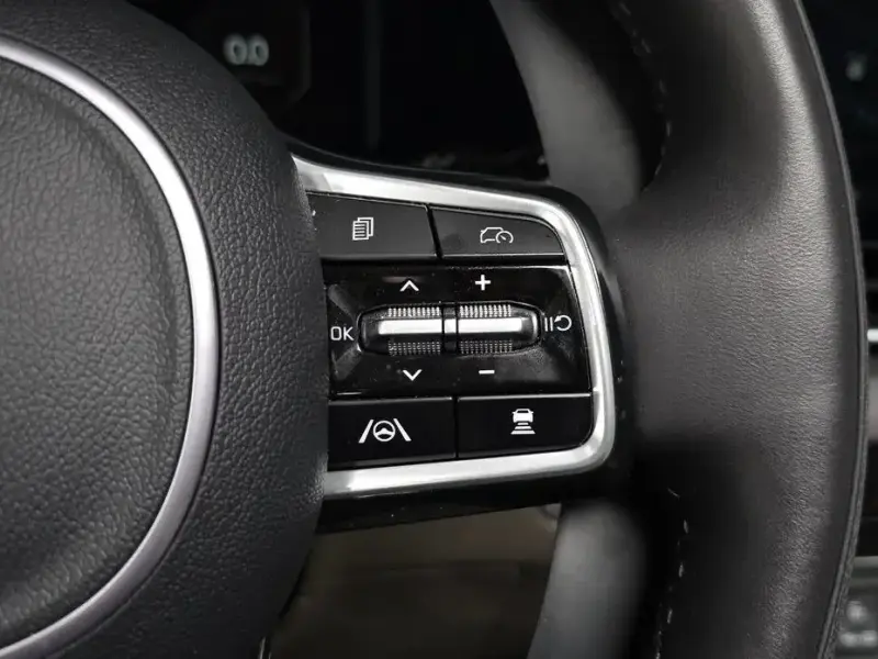 2024 Kia Carnival с пробегом 22 103 км