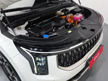 2024 Kia Carnival с пробегом 33 316 км