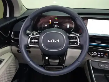 2024 Kia Carnival с пробегом 33 316 км