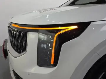 2024 Kia Carnival с пробегом 43 666 км