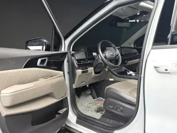 2024 Kia Carnival с пробегом 30 213 км