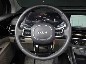 2024 Kia Carnival с пробегом 30 213 км