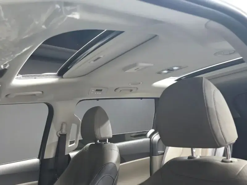 2024 Kia Carnival с пробегом 30 213 км