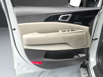 2024 Kia Carnival с пробегом 30 213 км