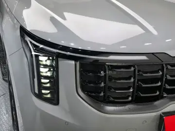 2024 Kia Carnival с пробегом 21 475 км
