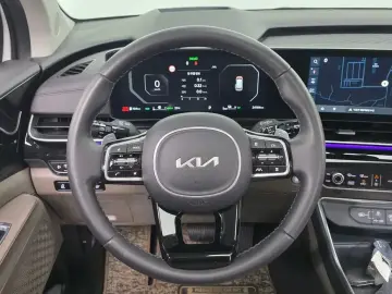 2024 Kia Carnival с пробегом 24 184 км