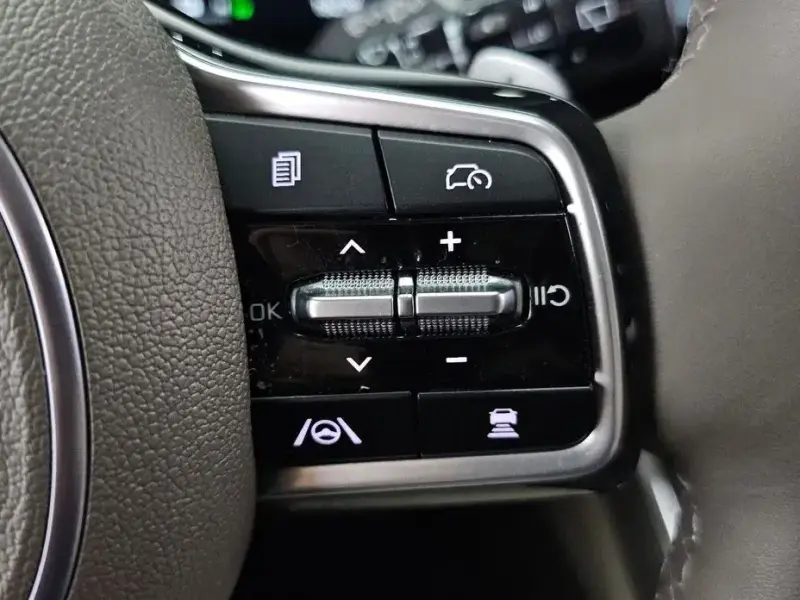 2024 Kia Carnival с пробегом 19 279 км