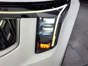 2024 Kia Carnival с пробегом 40 143 км