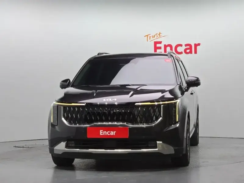 2024 Kia Carnival с пробегом 31 183 км