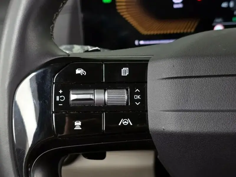2025 Kia Carnival с пробегом 7 990 км