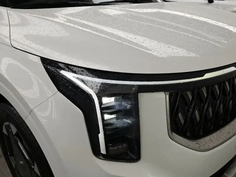 2025 Kia Carnival с пробегом 7 990 км