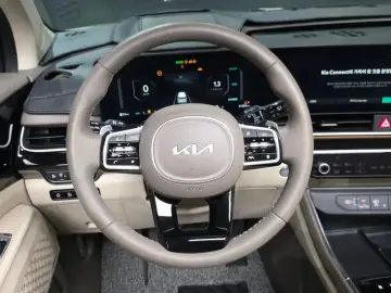 2024 Kia Carnival с пробегом 31 398 км