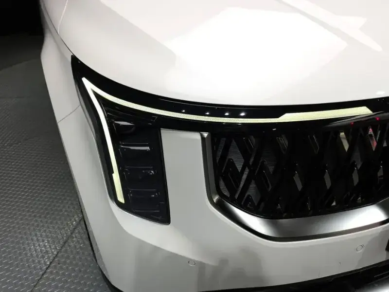 2024 Kia Carnival с пробегом 31 398 км