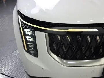 2024 Kia Carnival с пробегом 31 011 км
