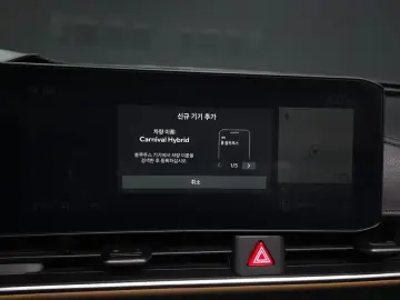 2024 Kia Carnival с пробегом 31 398 км