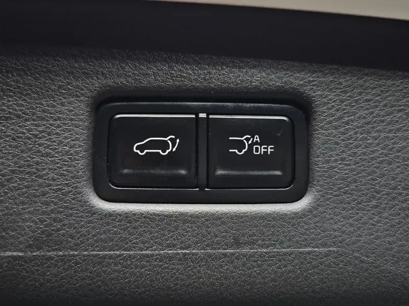 2024 Kia Carnival с пробегом 36 031 км