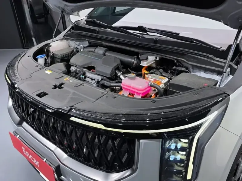 2024 Kia Carnival с пробегом 28 341 км
